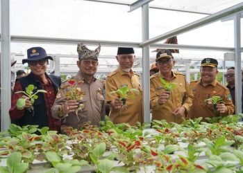 Dampingi Mentan RI Kunjungi Lokasi Penas KTNA, Wako Hendri Septa; Momentum Tingkatkan Perekonomian Masyarakat