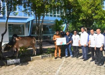 Wako Hendri Septa Salurkan 6 Ekor Sapi Kurban Bank Nagari