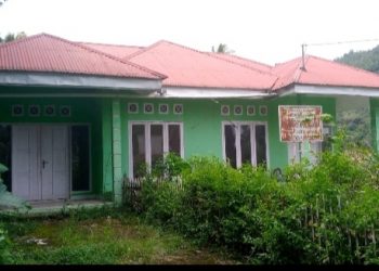Seperti Semak Belukar? Aset Negara Milik Puskesri Terkesan Tak Terurus