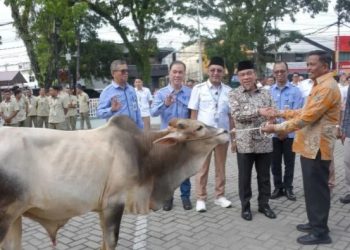Perumda AM Kota Padang Salurkan hewan kurban kepada masjid dan mushala